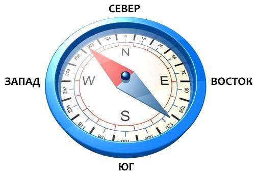 Все стороны горизонта на компасе. как определить стороны света по компасу