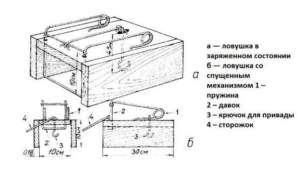 Ящичные ловушки на куницу. самоловы, петли, цепи