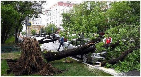 Ураган меры безопасности. Как действовать во время урагана