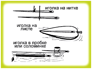 Как определить где запад. Север, юг, запад, восток: узнаем расположение