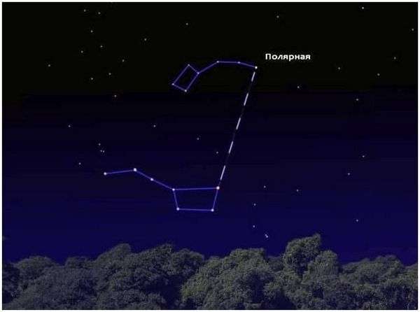 Полярная звезда летом. Полярная звезда — один из самых интересных объектов космоса