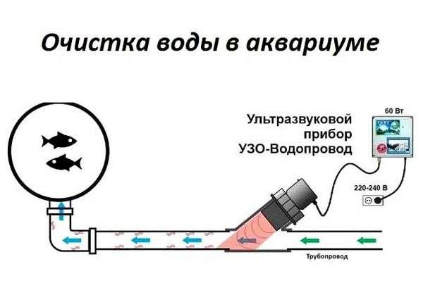 Как можно обеззараживать воду предназначенную для питья ответ. Обеззараживание питьевой воды – своевременная забота о собственном здоровье