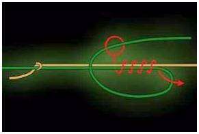 Как правильно вязать узел морковка. Узел для связывания лески, без которого не обойтись. mahin knot