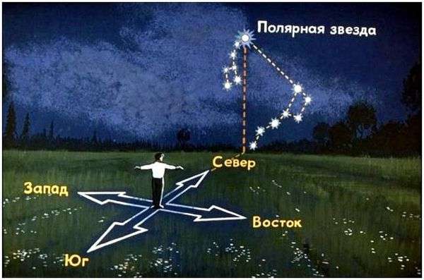 По каким предметам можно определить стороны света. как определить стороны света без компаса у себя дома и на природе