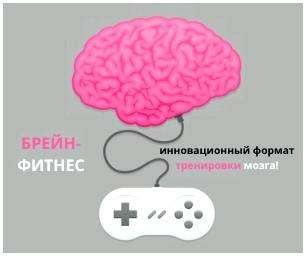 Где прячутся птицы во время грозы. Как птицы ухитряются пережить ураганы?