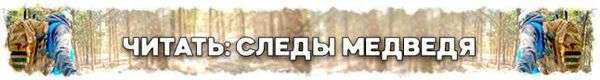 Как отличить волчьи следы от собачьих. Следы волка: как отличить и что нужно знать