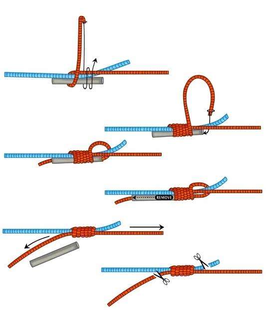 Как правильно сделать узел на леске. Лучшие рыболовные узлы