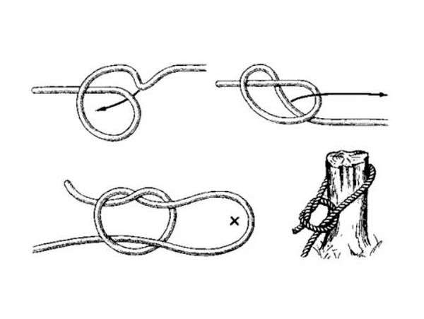 Как привязать веревку к дереву. 5 простых и надежных узлов, которые нужно знать каждому…
