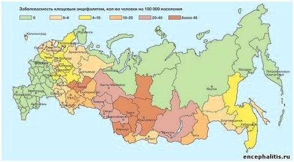 Клещей выкручивать. Как вытащить клеща правильно