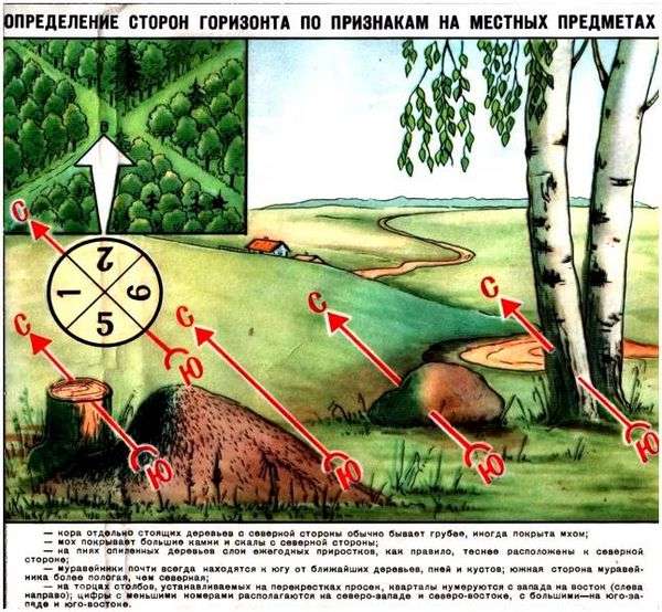 Компас андрианова состоит из. чем хорош компас адрианова, чем плох и как правильно с ним работать