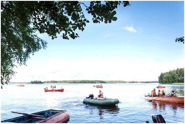 Может ли гадюка укусить в воде человека. Правду говорят, что змеи в воде не кусают?