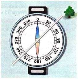 Определи на карте стороны горизонта. Способы определения сторон горизонта.