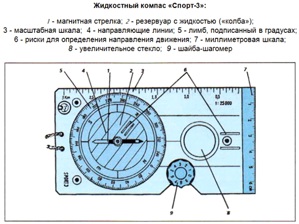 Ориентироваться это значит определять свое местоположение относительно. ориентирование на местности. часть 1. стороны горизонта. ориентирование