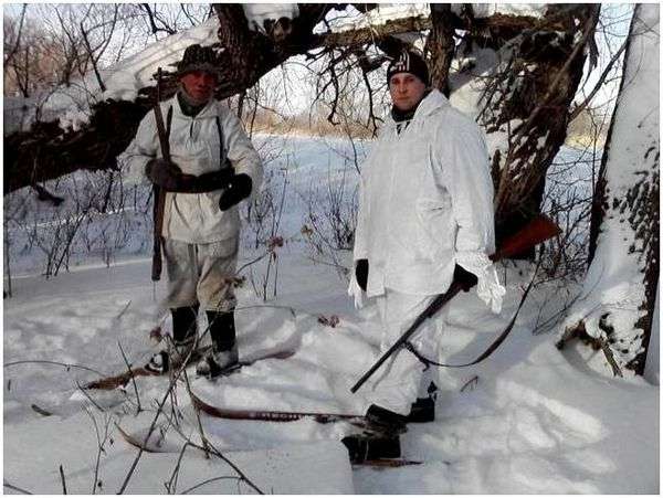 Заячьи следы картинки. Следы животных с подписями