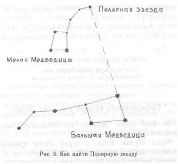 Как по пню определить стороны света. Ориентирование в лесу: как не заблудиться в трех соснах.