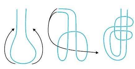 Кранцевый узел как вязать. Морские узлы