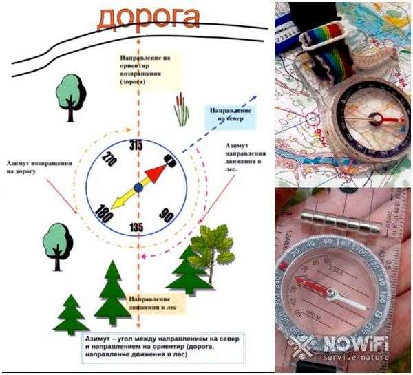 По каким признакам определяют стороны горизонта. Виды ориентирования без карты и компаса по местным признакам