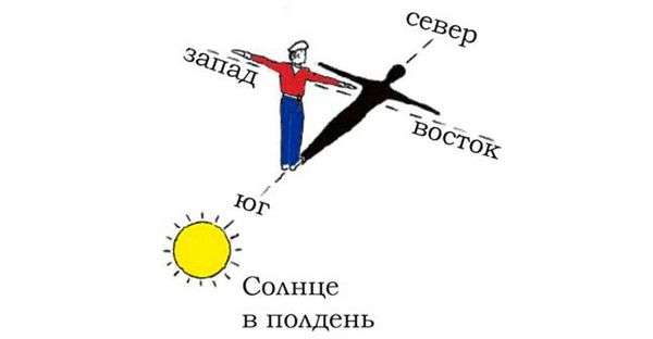 По каким признакам определяют стороны горизонта. Виды ориентирования без карты и компаса по местным признакам