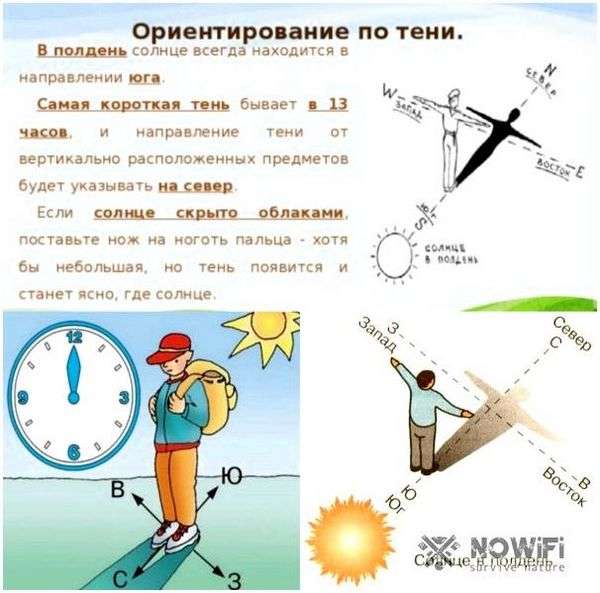 По каким признакам определяют стороны горизонта. Виды ориентирования без карты и компаса по местным признакам