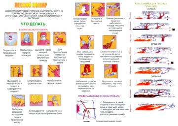 Пожарная опасность в лесу причины возникновения лесных пожаров правила безопасного поведения. Что делать, если вы оказались в зоне лесного или торфяного пожара