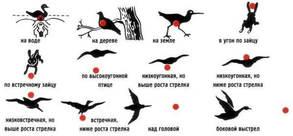 Правильная вскидка и вкладка ружья. как научиться стрелять по утке влёт. вскидка. вкладка. прикладистость.