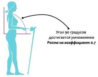 Треккинговые палки что это. Как подобрать трекинговые палки