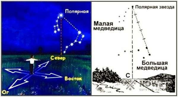 Где находится стороны света. Как определить стороны света