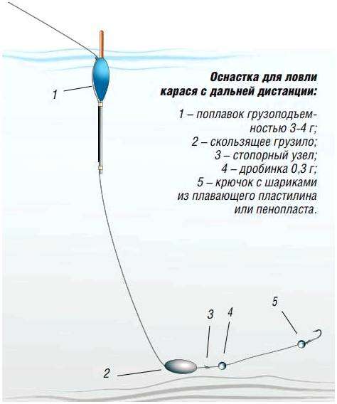 Как легко ловить рыбу. 5 хитростей рыбалки на поплавочную удочку
