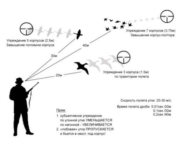 Как правильно стрелять летящую утку. Стрельба по утке в лет